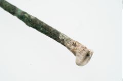 Foto von Beinnadelspitzenschoner (NHMW-PRAE-003445)